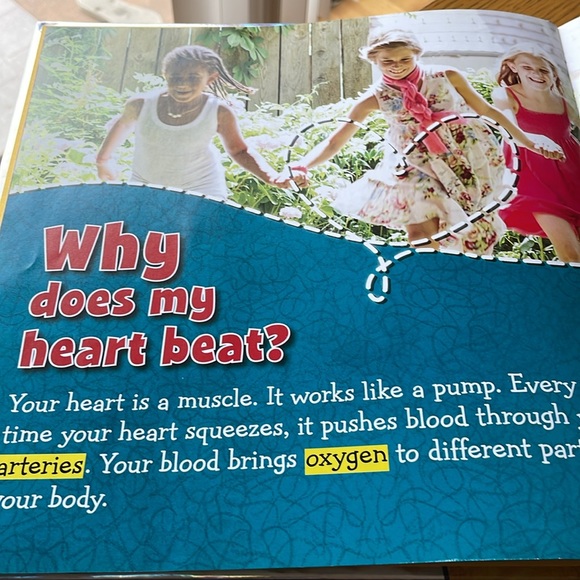 Fly Guy Presents Why Fly Guy? A Big Question & Answer Book by Tedd Arnold - Picture 4 of 10